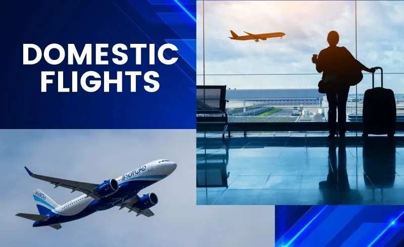 Domestic Travel Tips